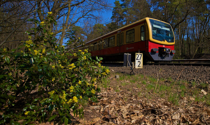 Es lebe die Generalsanierung